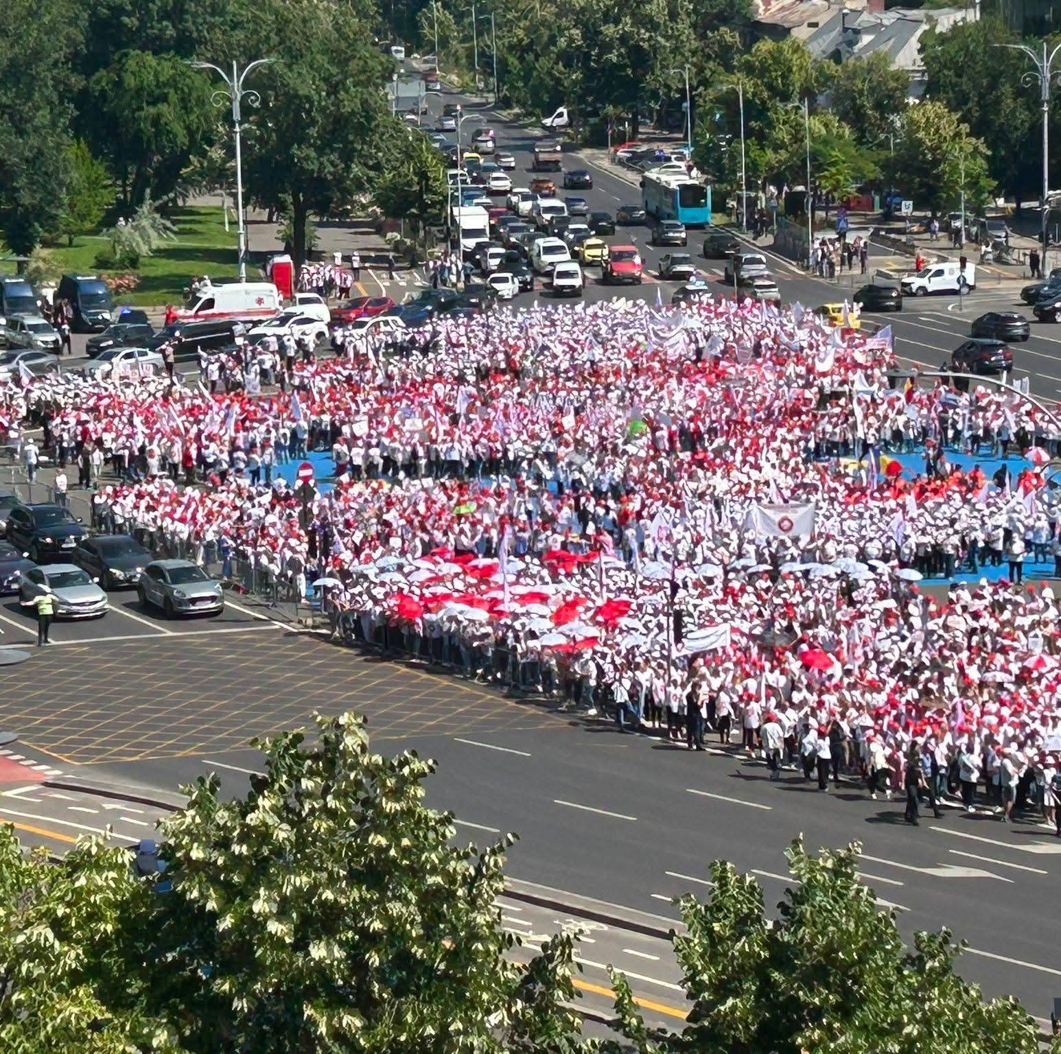 Mare de steaguri SANITAS în Piața Victoriei